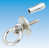 Ring Bolt w/Flat Washer & Anchor Plug